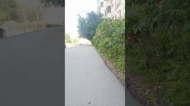 Мы - нищие , а вы?