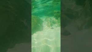 Рыбки под водой во Вьетнаме