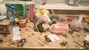 Закупка продуктов//Обзор продуктовой корзины из Магнита Пятёрочки и Ленты