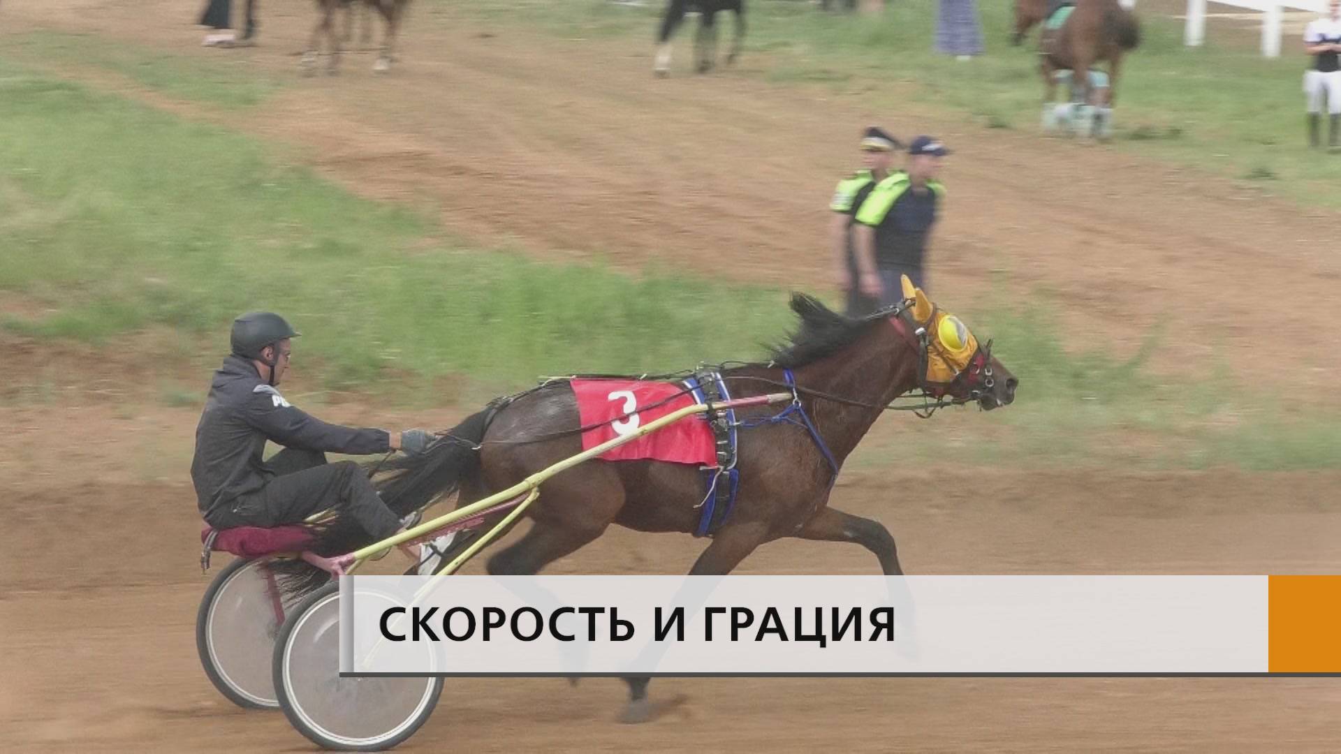 Скачки на челнинском ипподроме собрали 139 спортсменов со всей России