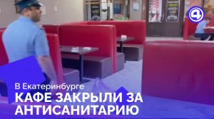 В Екатеринбурге кафе закрыли за антисанитарию и просроченные медосмотры