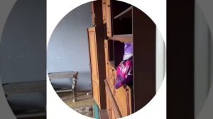 Обзор квартиры
г.Краснодар, ул. Сормовская, д.191