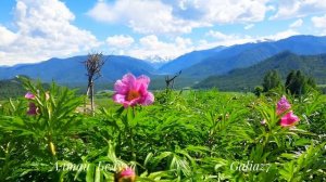 Алтай Белуха Божественная Красота Место Силы...