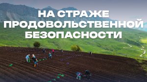 На страже продовольственной безопасности