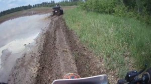 14.06.2025 После дождичка.