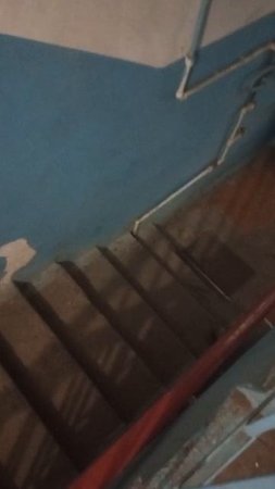 Крысы - соседи: в 74 доме по улице Южно-Моравская бегают крысы. Жильцы в шоке.