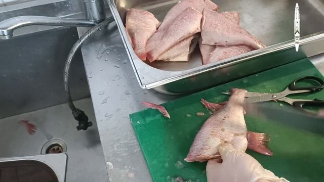 Разделка морского окуня