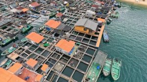 Погружение в Китай, о. Хайнань. Обзорные экскурсии и остров обезьян.