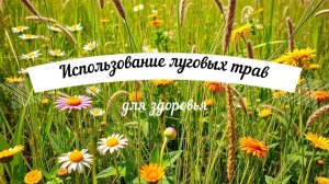 Рецепты природы