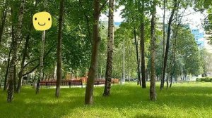 Питер Парашютная Лето