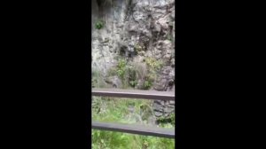 Krasivyye mesta Rossii Карачаево-черкесия, медовые водопады.