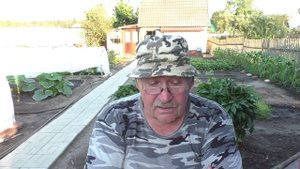 Басня Волк и ягненок