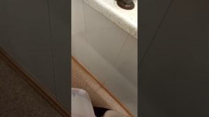 про трендовое мороженое из красно-белого