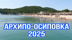 Дорога Краснодар - Архипо-Осиповка. Июнь 2025