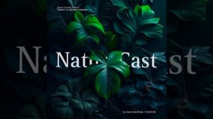 Пение птиц для медитации