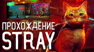 STRAY. Прохождение игры #1