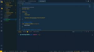 15 - Build Tags in Go