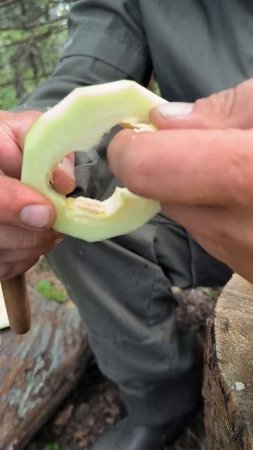 ОБЕД в ЛЕСУ от ЕГЕРЯ - Кабачок с беконом и яйцом  | Суровая кухня от Лесных
