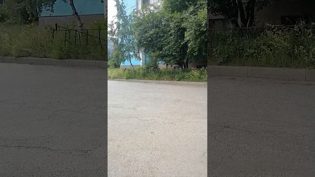 Весело и со вкусом лета