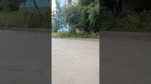 Весело и со вкусом лета
