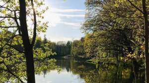 Запоздалый влог .  Покупки, процессы и готовые работы.