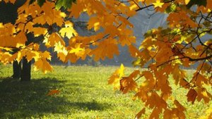 Валерий Капризов - Ноктюрн разлук