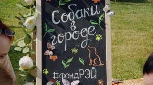 Фестиваль «Собаки в городе» 2025 (автор Сергей Томилин)