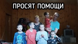 Многодетная семья просит помощи у президента В.В. Путина и А.И. Бастрыкина главы СК РФ