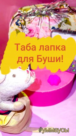 Мини ТАБА лапка специально для Буши!