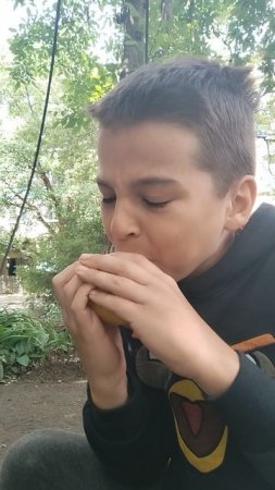 Едим золотое яблоко