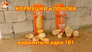 Кормушки и поилки для кур своими руками (181) 🪚✂️ Пошаговая инструкция как сделать 🐔 🐓❣️
