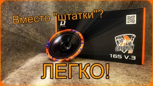 Обзор Эстрадной акустики DL Audio ™ Gryphon Lite 165 V.3