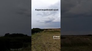 VID-20250615-WA0287