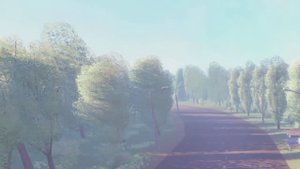 Мир вечерних представлений выпуск 25 марта 2025 Городской романс