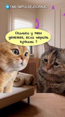 Очень глубокая (Мяукаем в телеграм Импульс Журнал 👉 @impulsejournal ) #пустьговорят #коты