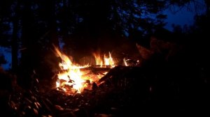 БЕЗ СНАРЯЖЕНИЯ ОДИН В ТАЙГЕ | НАЙТИ ЕДУ И ВОДУ | ПОСТРОИТЬ УКРЫТИЕ | РЕАЛЬНОЕ ВЫЖИВАНИЕ