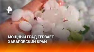 "Поотшибало листья": мощный град терзает поселки Хабаровского края