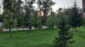 Влог 47. Мотивация на мойку окна. Заказ на ВБ.