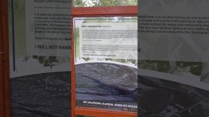 Обитатели лесопарка Крцаниси (Природный заповедник Поничала) 30.05.2025