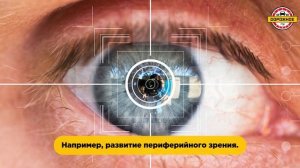 Сколько стоит грязь на номерах для водителей?