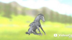 Мини  TIK-TOK WILDCRAFT.