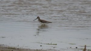 Кулик наводит красоту в заказнике «Светлинский»!