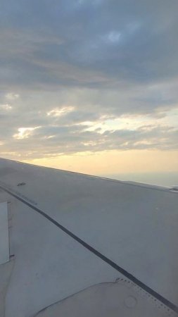 🫶🛫