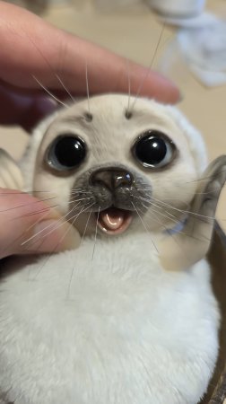 Мой новенький, мой беленький! 🥰