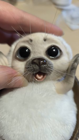 Мой новенький, мой беленький! 🥰