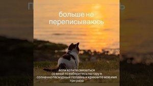 Сборник мемов 1