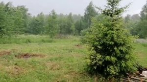 Дождь в Чисмене 16.06.25! Льет как из ведра!