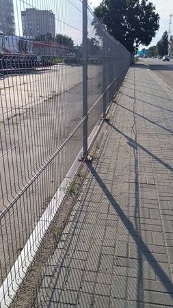 Тамбов - комфортная городская среда