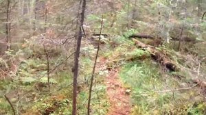 Поход  - Сухогорский камень - Уральский Хребет