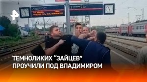 “Зайцев”, говорящих с акцентом, проучили за отказ не платить за проезд на электричке
